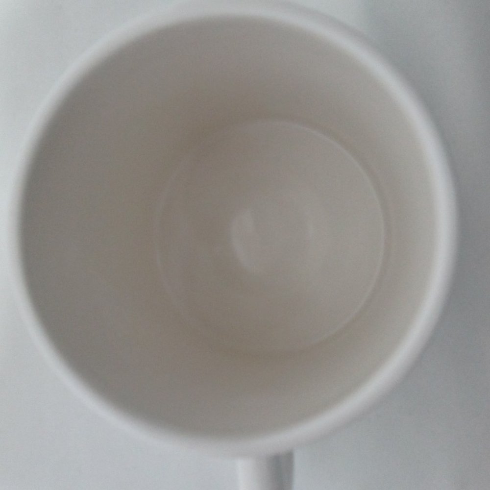 Kate Spade Saturday Ho! Ha! Yo! Mug Cup Microwave & Dishwasher Safe - Picture 10 of 13